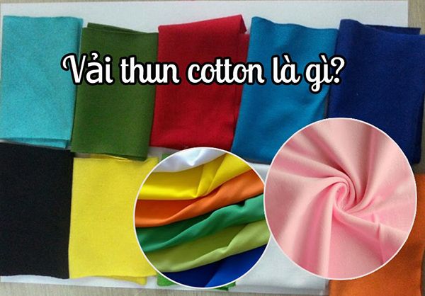 Vải thun cotton là gì? Nguồn gốc, đặc điểm và cách phân loại