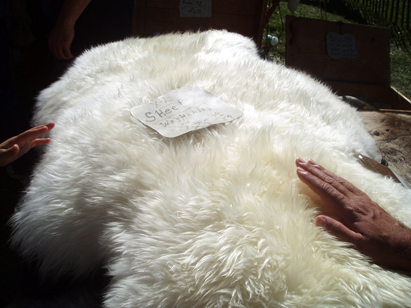 Vải wool chủ yếu được dệt từ lông của các loại động vật