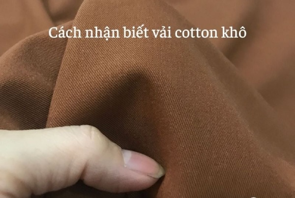 Vải cotton khô